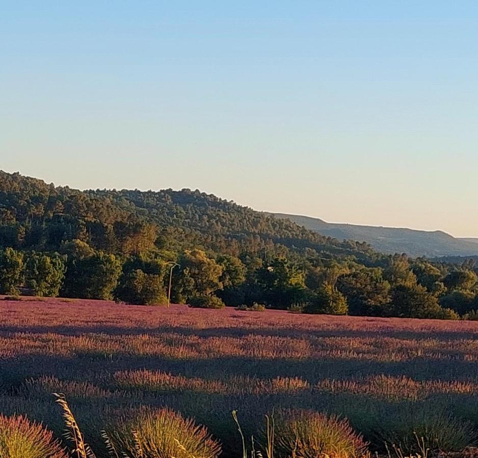 Appartement Roussillon Roussillon en Isere 外观 照片