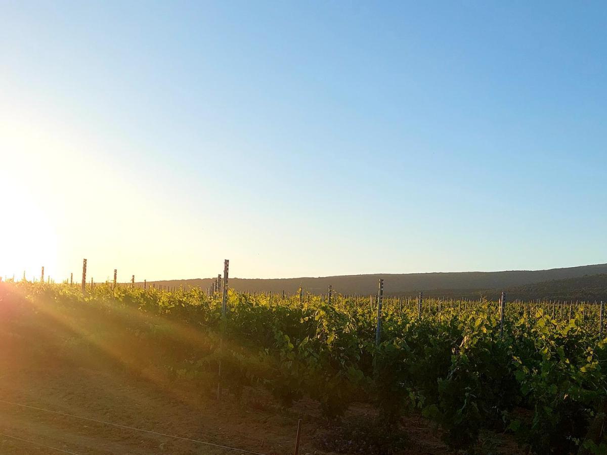 Appartement Roussillon Roussillon en Isere 外观 照片