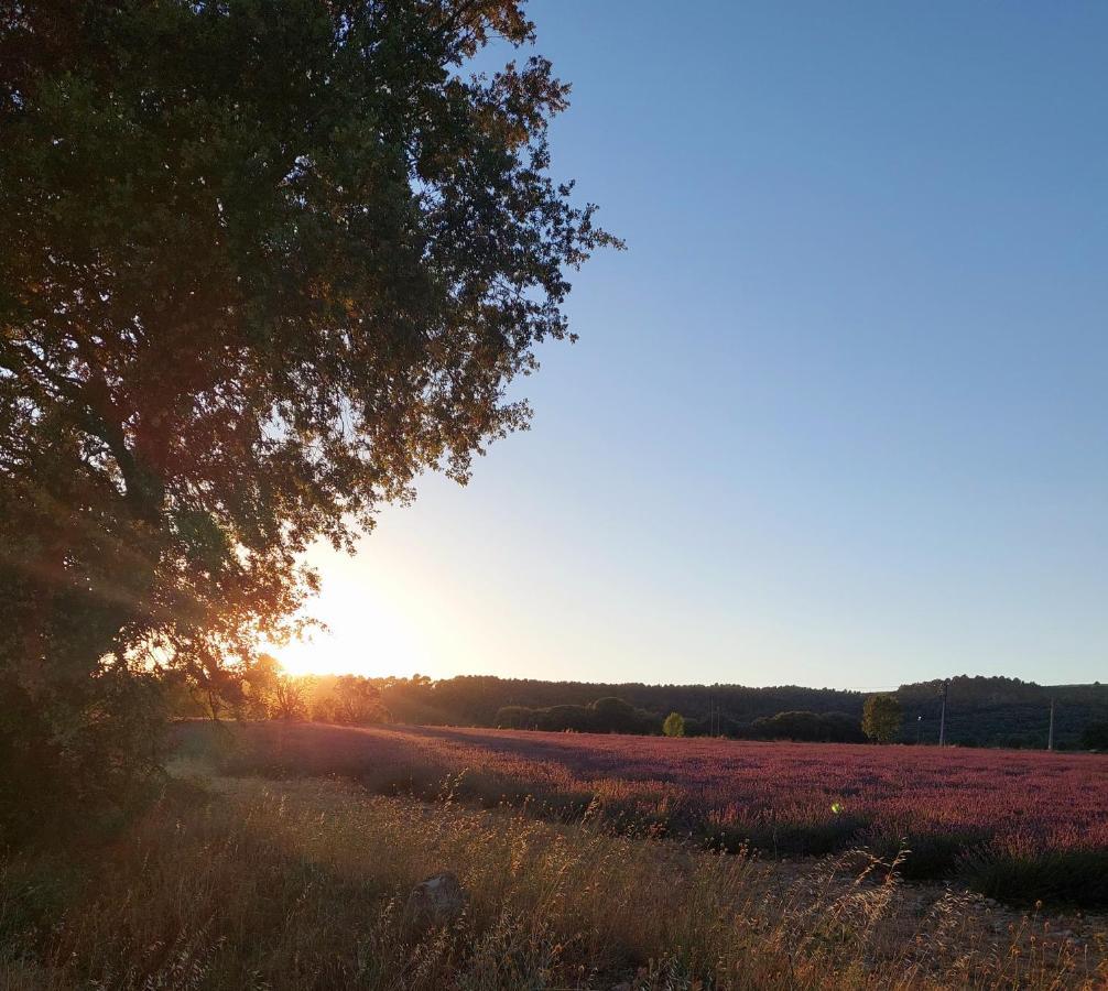 Appartement Roussillon Roussillon en Isere 外观 照片